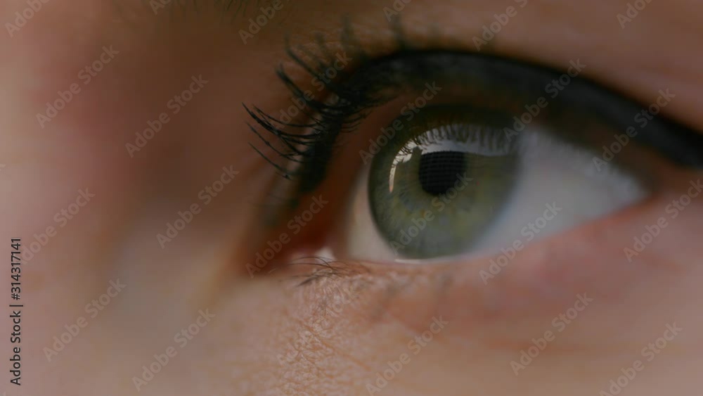 extreme close up shot of a green human eye. Woman with makeup blinking. Selective shallow focus