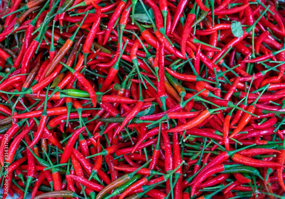  Red hot chili peppers, is the fruit of plants from the genus Capsicum which are members of the nightshade family, Solanaceae