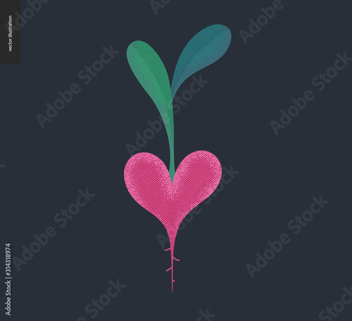 Vegetable heart - Valentines day graphics. Modern flat vector concept illustration - a beetroot shape valentine heart, with green leaves, cute vegeterian character in love concept