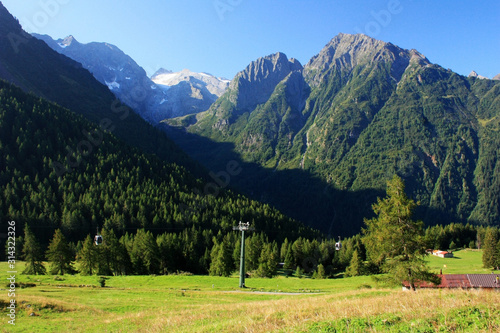 Dolomites covered with coniferous forest