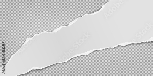Piece of torn white paper strip with soft shadow is on white squared background. Vector illustration