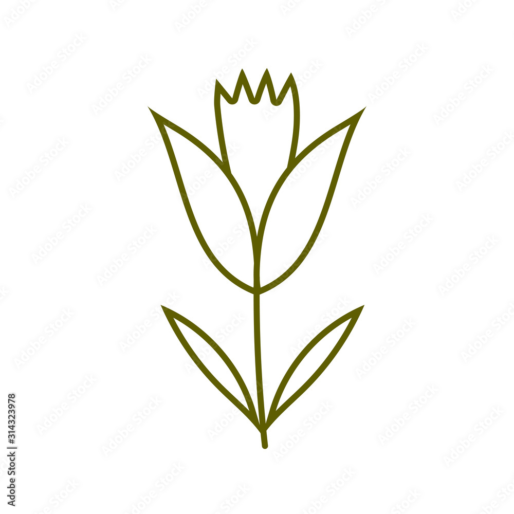 flower stem nature plant line style flower stem nature plant line style