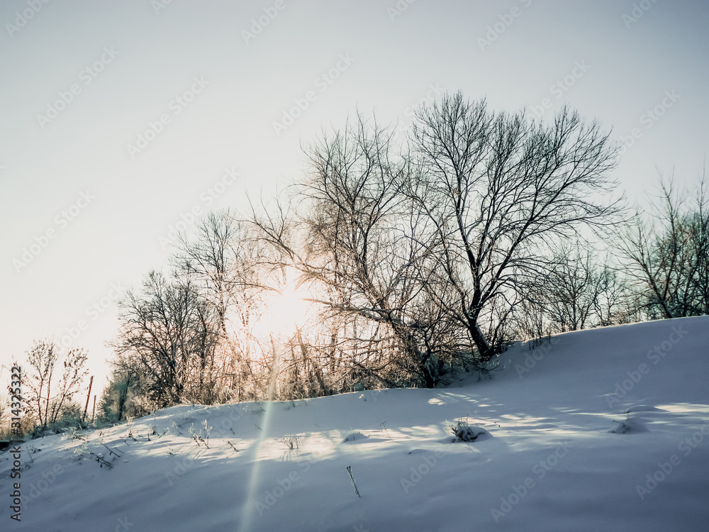 Obraz premium winter landscape of forest and nature