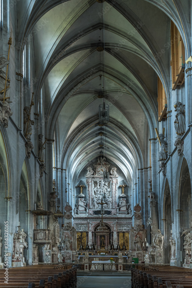 Fototapeta premium Salemer Münster