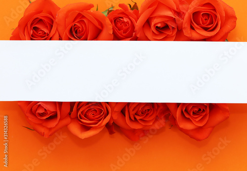 Background with beautiful roses and copy space.