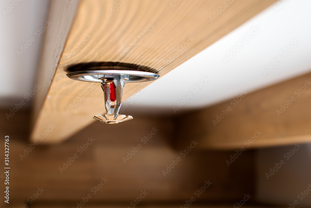 automatic head fire sprinkler extinguisher on white ceiling light window view selected focus on sprinkler - obrazy, fototapety, plakaty 