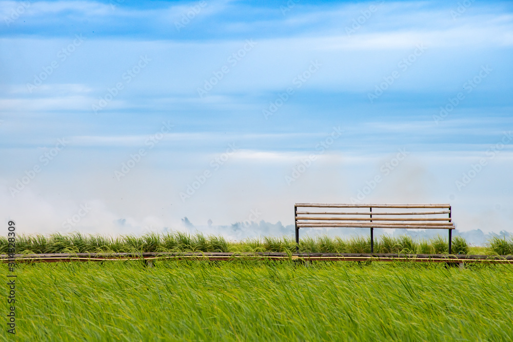 bamboo bench in green field against blue sky bamboo bench in green field against blue sky