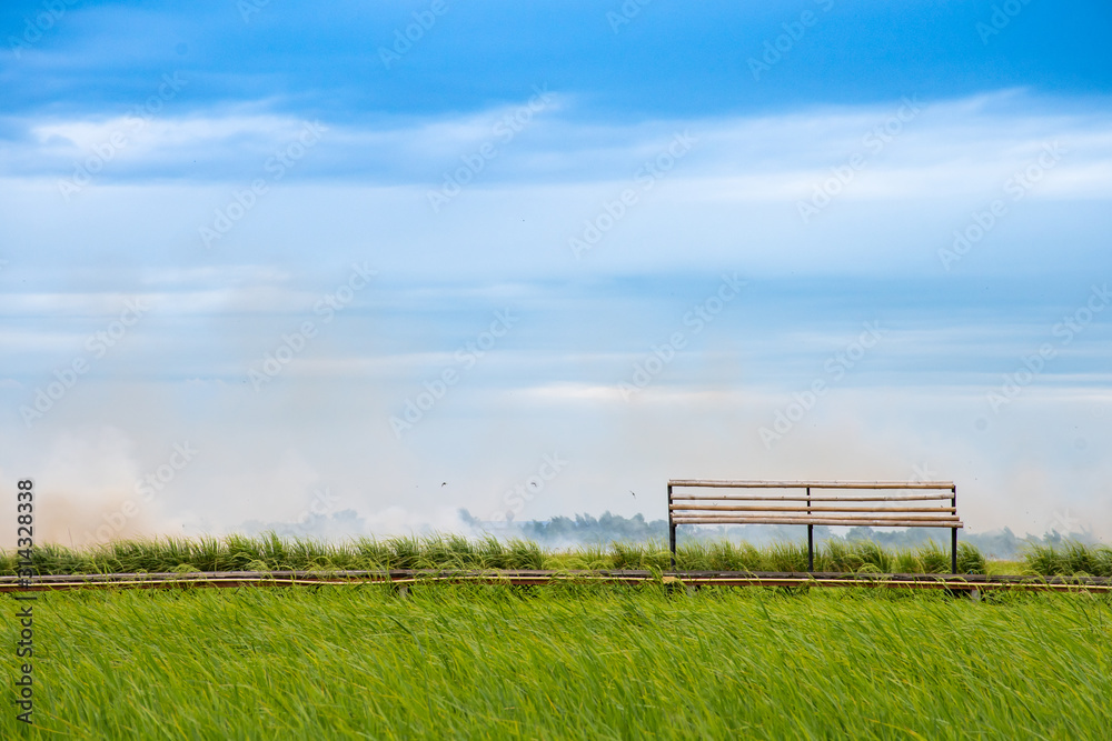 bamboo bench in green field against blue sky