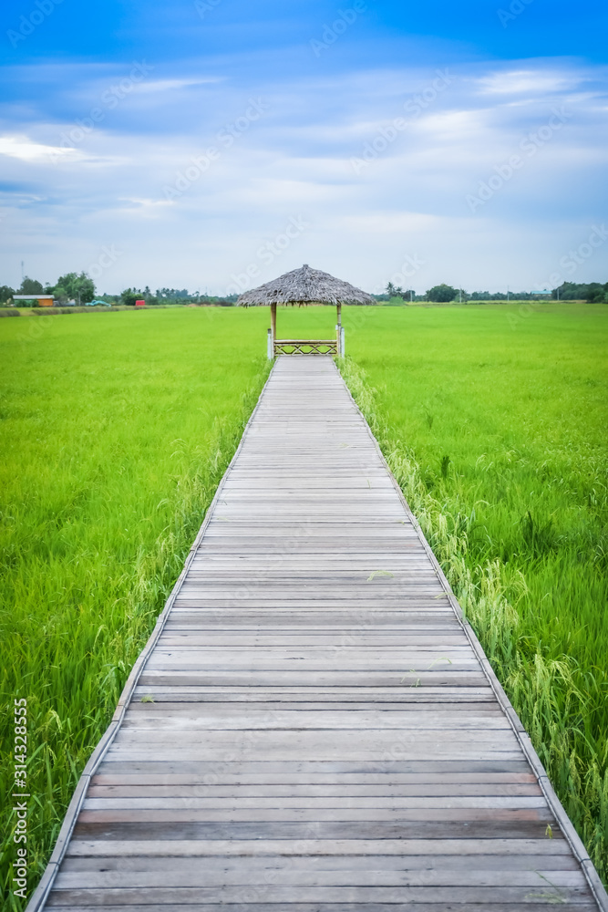 little hut in middle of green filed