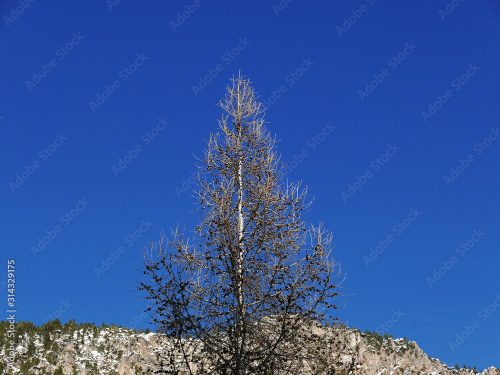 luminosa immagine montana della Val Venosta in Italia in una giornata limpida luminosa immagine montana della Val Venosta in Italia in una giornata limpida