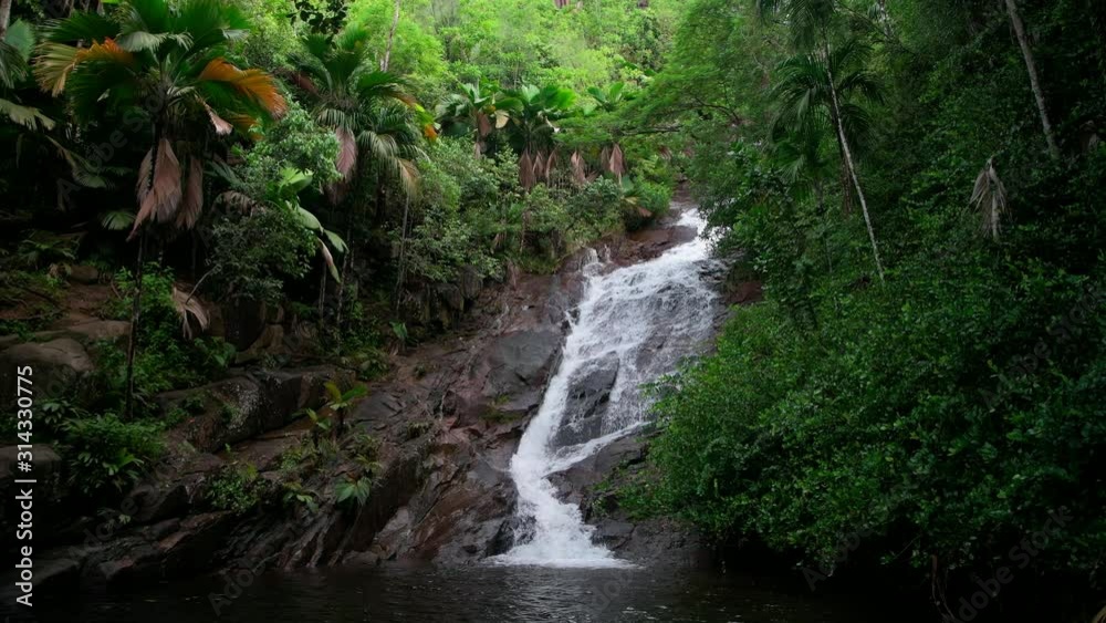Waterfall Seychelles Mahe Island palm trees and river Waterfall Seychelles Mahe Island palm trees and river