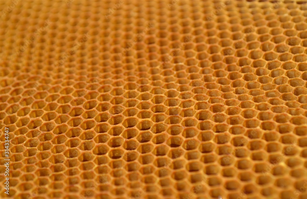 Yellow honeycomb close-up Yellow honeycomb close-up