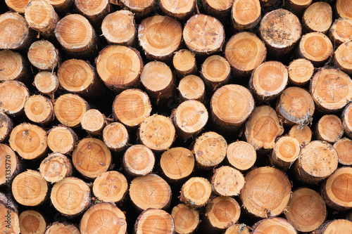 Background of dry chopped firewood logs stacked up on top of each other in a pile