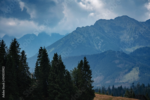 Forested mountain slope in low lying cloud with the evergreen