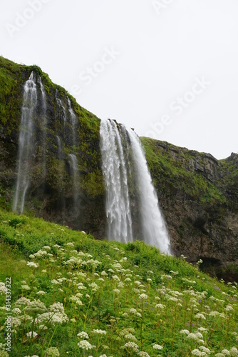 200 Foot waterfall in Iceland just Behind the winter flowers and shrubs