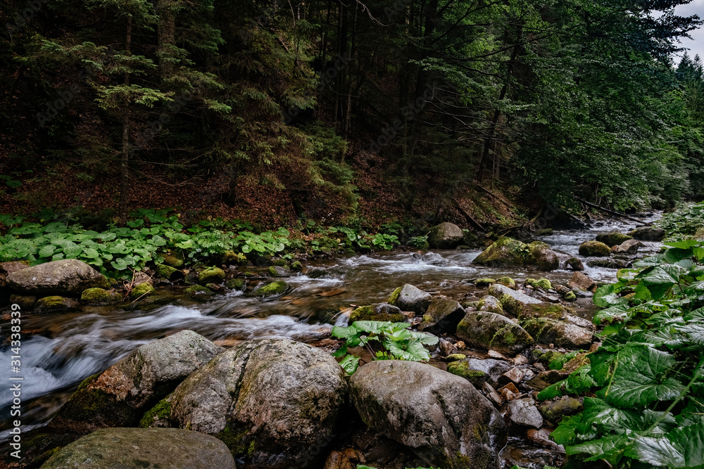 Mountain stream in High Tatras National Park, Poland Mountain stream in High Tatras National Park, Poland