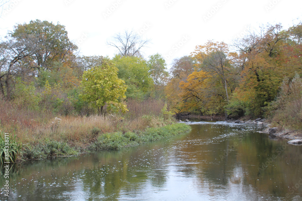 DuPage River with trees with autumn colors at McDowell Grove Forest Preserve in Naperville, Illinois DuPage River with trees with autumn colors at McDowell Grove Forest Preserve in Naperville, Illinois