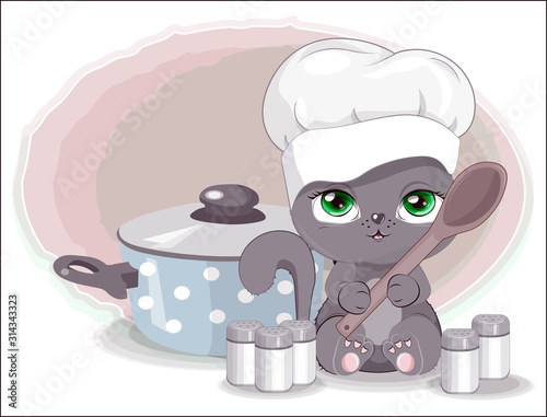 cook cat with spoon and spices and pan