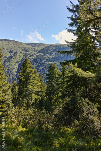 Landscape of trail for The Stinky Lake from area of Tiha Rila (Quiet Rila