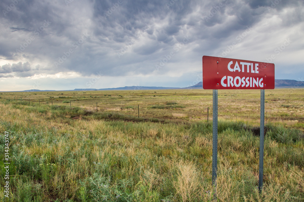 green meadow with cows sign crossing in a day with clouds green meadow with cows sign crossing in a day with clouds