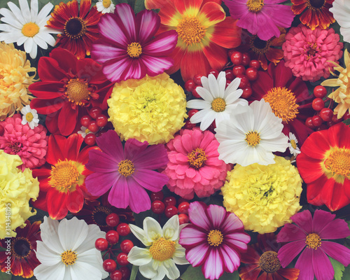 floral background. garden flowers and berries © MaskaRad