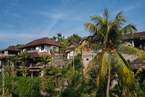Traditional building in Bali surrounded by palm trees, Indonesia © irengorbacheva