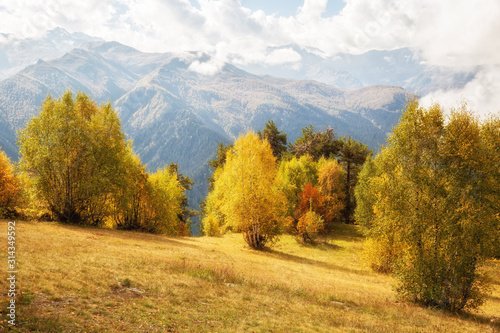 Autumn mountain landscape