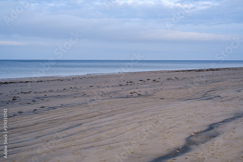 empty sea beach in autumn with some bushes and dry grass