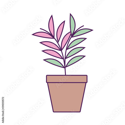 potted leaves plant fill line
