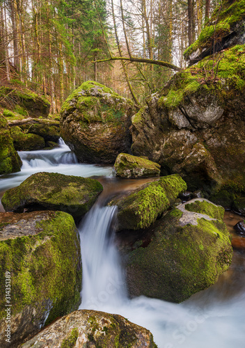 small waterfall in the forest