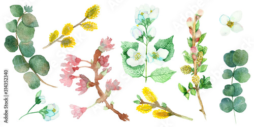 Wallpaper Mural Watercolor hand painted nature floral set with green eucalyptus branches and leaves, yellow willow, white jasmine flowers, pink apple blossom flowers collection isolated on the white background Torontodigital.ca