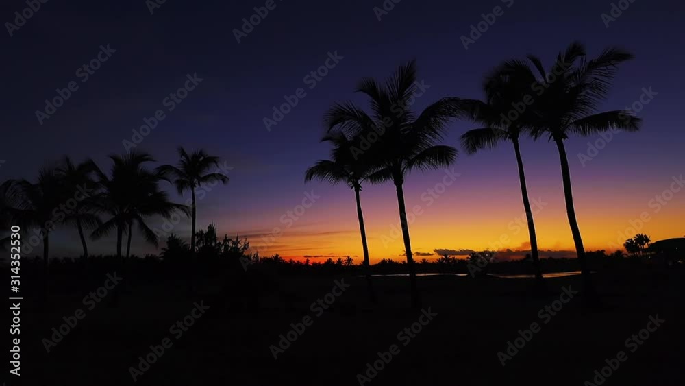 Golf course in the tropical island, beautiful sunset with palm trees silhouettes video Golf course in the tropical island, beautiful sunset with palm trees silhouettes video
