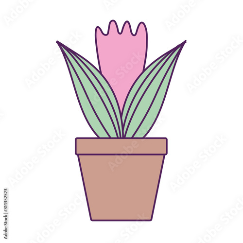 potted leaves plant fill line