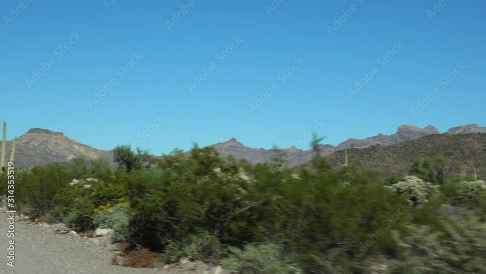 Ajo Mountain Drive, an unpaved dirt road through Organ Pipe Cactus National Monument. Sagurao cactus line the road. USA, Arizona Ajo Mountain Drive, an unpaved dirt road through Organ Pipe Cactus National Monument. Sagurao cactus line the road. USA, Arizona