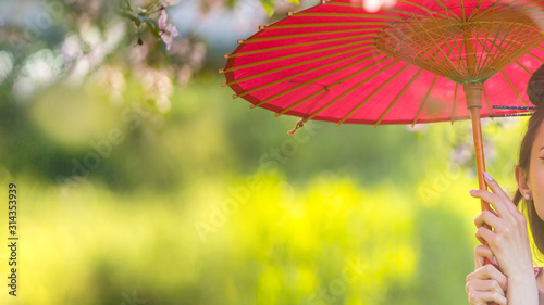 Japanese woman in kimono and with umbrella in sunny spring blooming garden  copy space