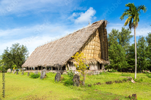 Traditional thatched yapese men's meeting house called faluw or fale and a bank of historic megalithic stone money rai in front of it. A high coconut palm. Yap island, Micronesia, Oceania © Dmitry