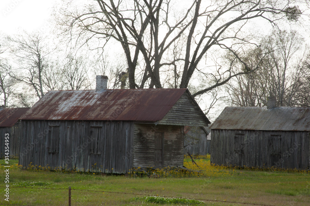 Old Louisiana Slave Quarters with Yellow Flowers Old Louisiana Slave Quarters with Yellow Flowers