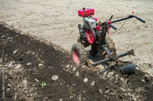 Walk-behind tractor in the garden. Cultivator with plow makes furrow in soil for potato plantation. photo