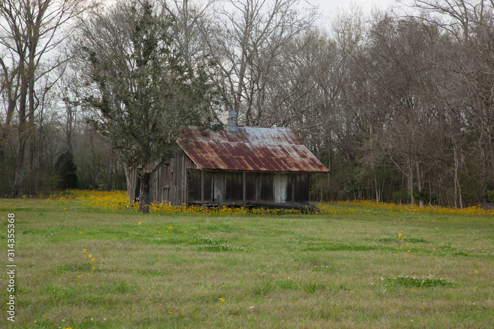 Old Louisiana Slave Quarters with Yellow Flowers Old Louisiana Slave Quarters with Yellow Flowers