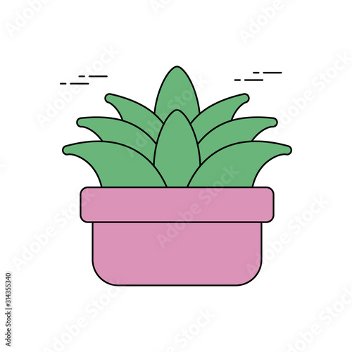 potted succulent plants flat fill