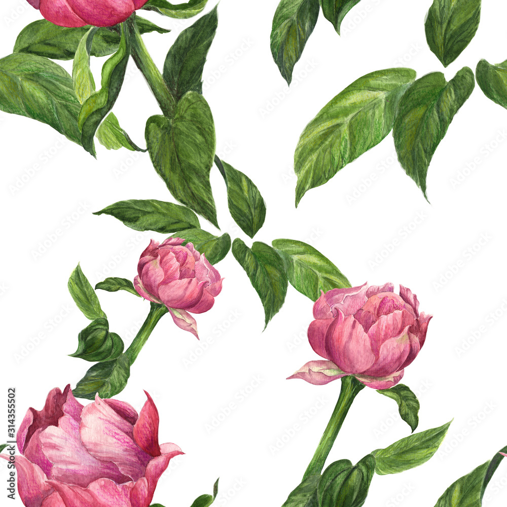 Peonies - flowers and leaves on a white background. Watercolor painting. Seamless pattern. Use printed materials, signboards, posters, postcards, packaging.