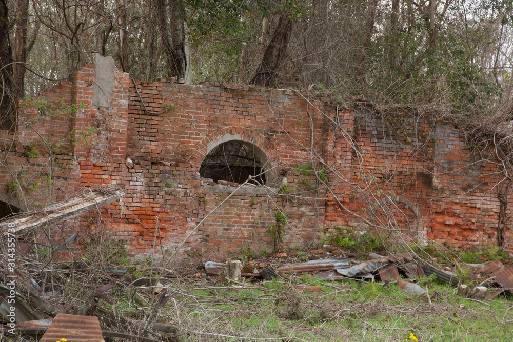Louisiana mill ruins overrun with vines Louisiana mill ruins overrun with vines