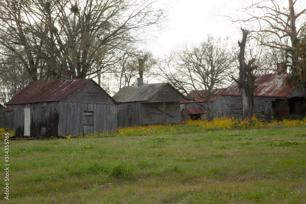 Old Louisiana Slave Quarters with Yellow Flowers