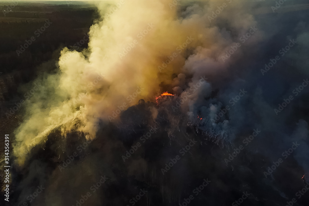 Fototapeta premium Fires in Russian forest, Transbaikal forest in fire, burning of