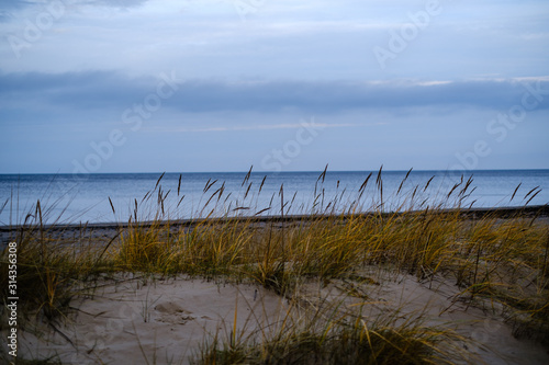 empty sea beach in autumn with some bushes and dry grass