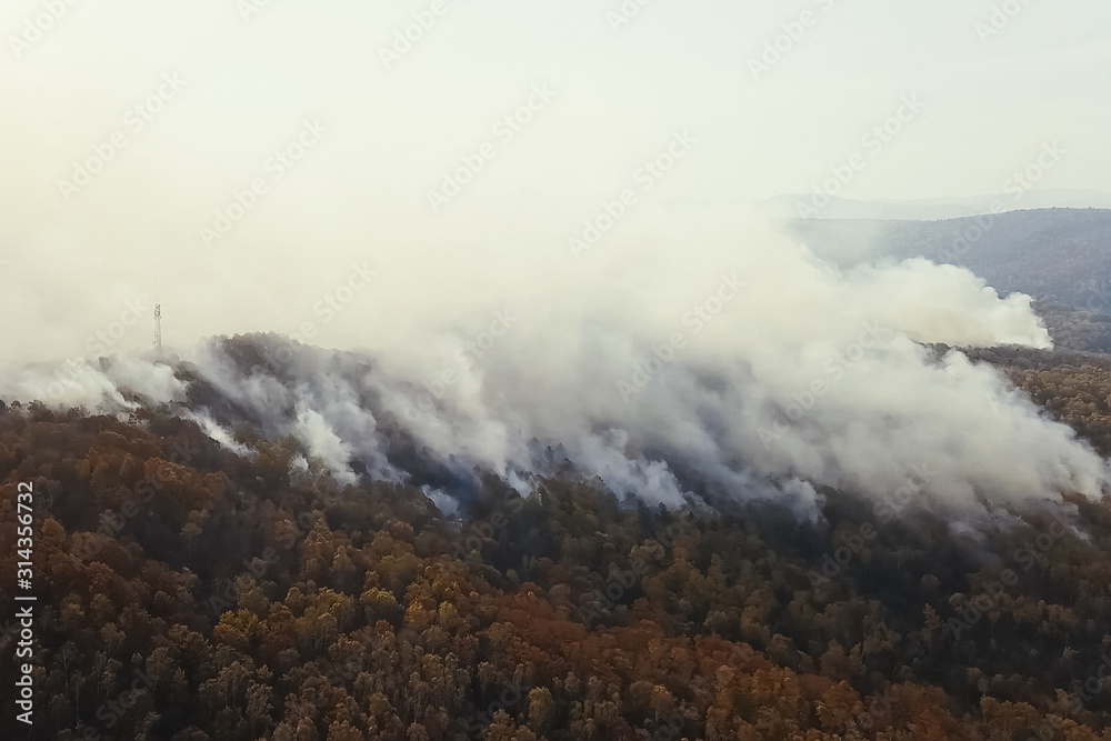 Fires in Russian forest, Transbaikal forest in fire, burning of