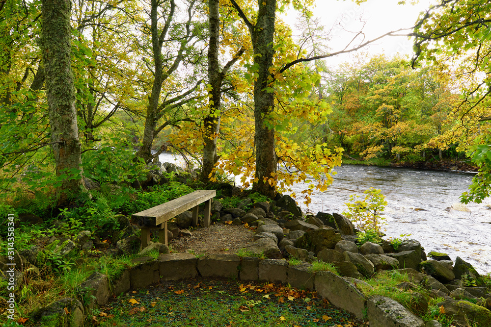 Wooden bench in the forest at a river in Scotland Wooden bench in the forest at a river in Scotland