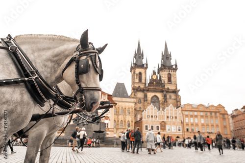 Carts with horses in the square of the old town of Prague