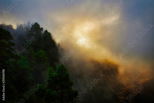 Nebbia a La Palma  Vivid 