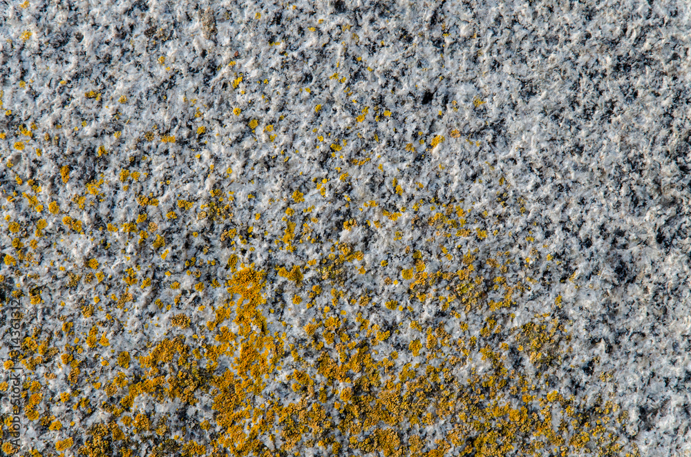 texture old granite wall. background close-up. red moss on the surface texture old granite wall. background close-up. red moss on the surface